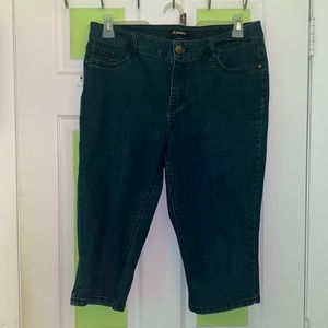 Dark Blue Jean Shorts